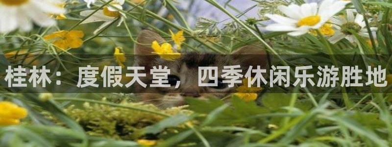 杏鑫娱乐