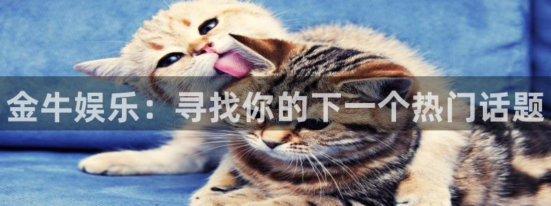 杏鑫娱乐