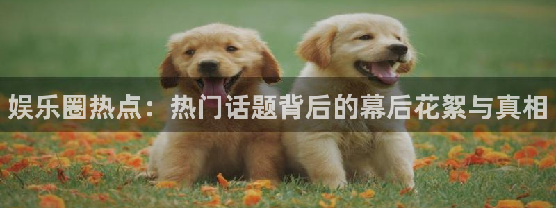 杏鑫娱乐