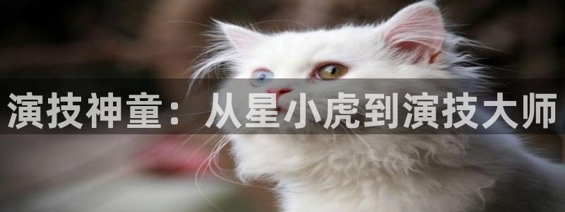 杏鑫娱乐